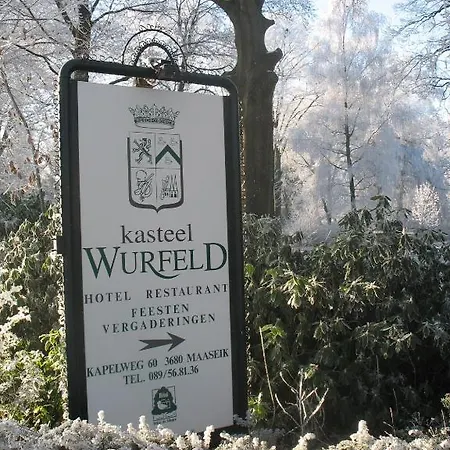 Kasteel Wurfeld 4* ماسايك